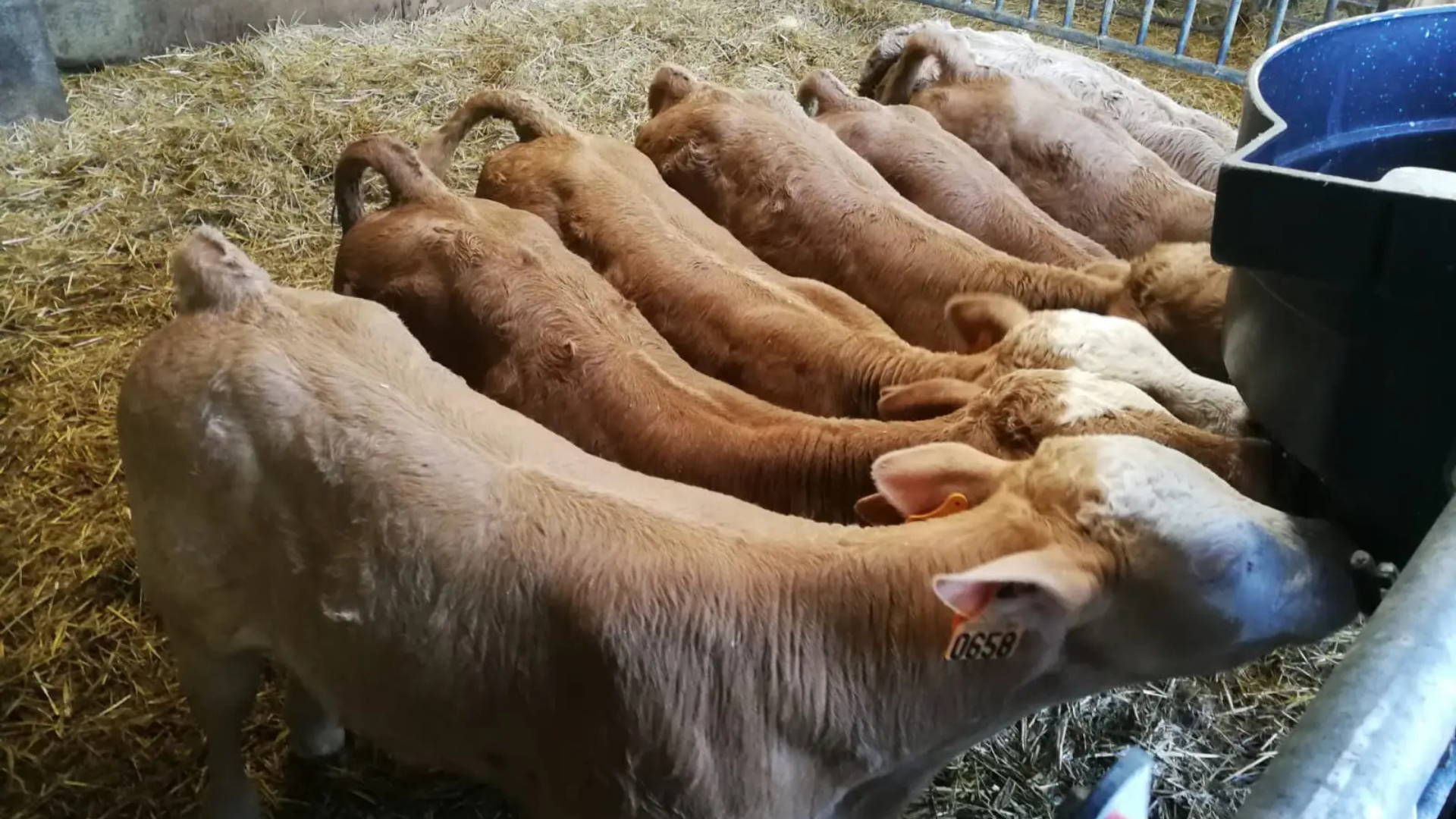 Au Roubary, Magasin à la ferme GAEC Les Champs Fleuris