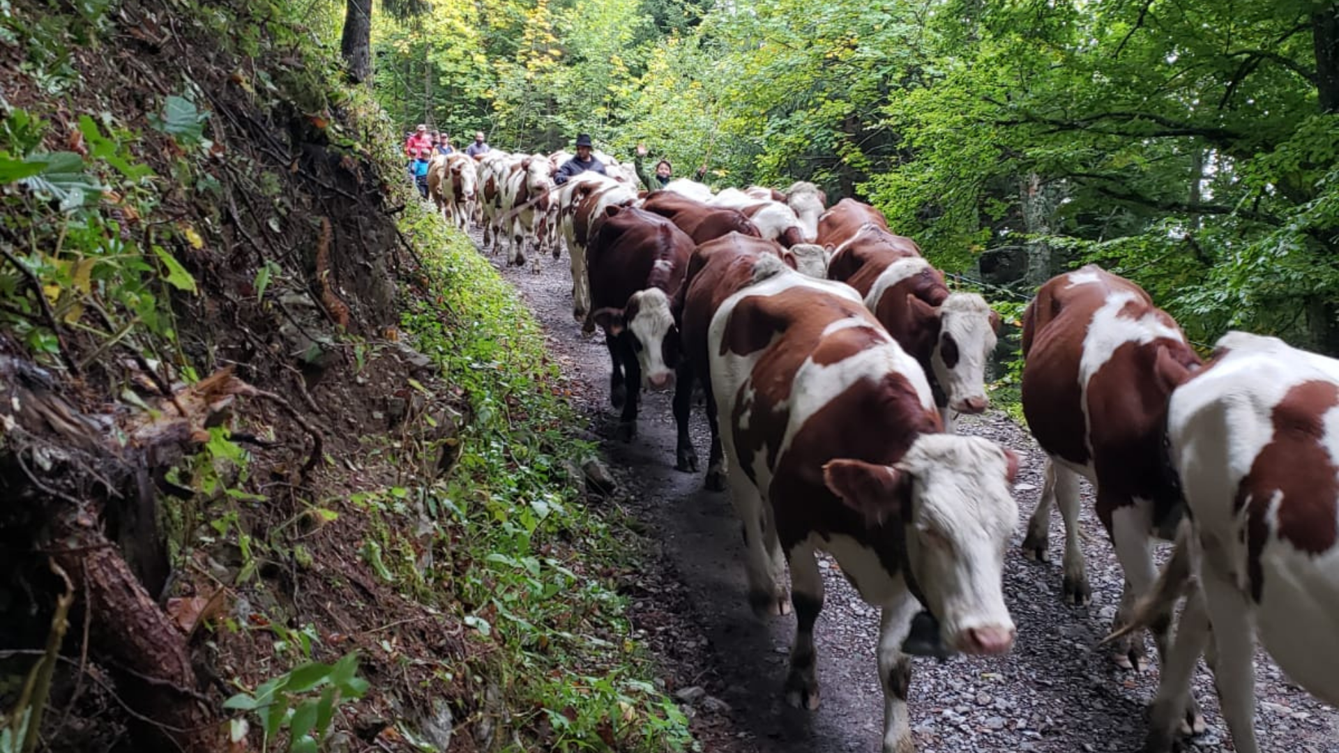 Au Roubary, Magasin à la ferme GAEC Les Champs Fleuris