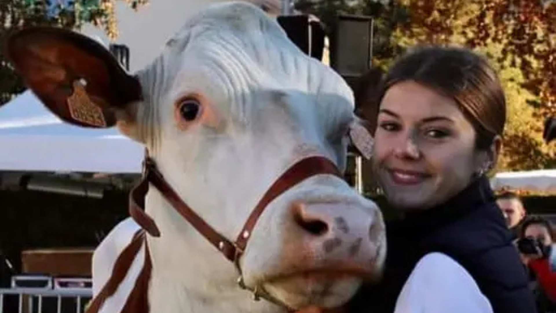 Au Roubary, Magasin à la ferme GAEC Les Champs Fleuris